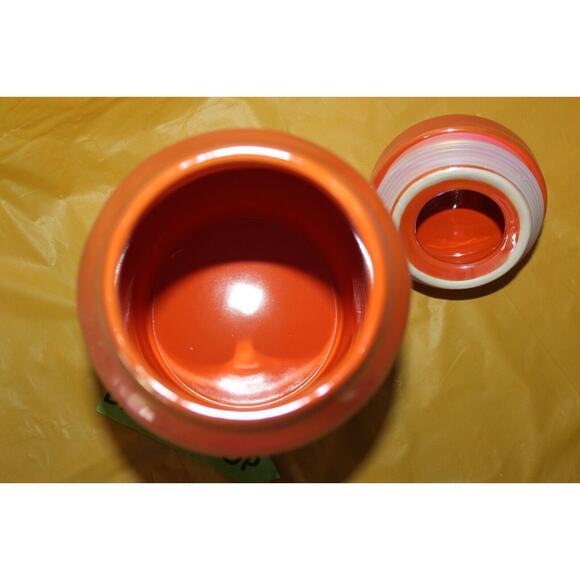 Rae Dunn Bugs & Hisses Orange Luster Finish Ceramic Canister Halloween Decor - Picture 8 of 12